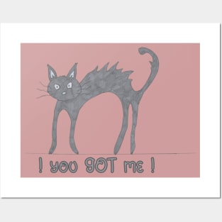 you-GOT-me-CAT Posters and Art